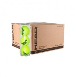 CAJON DE PELOTAS HEAD CS 24 BOTES